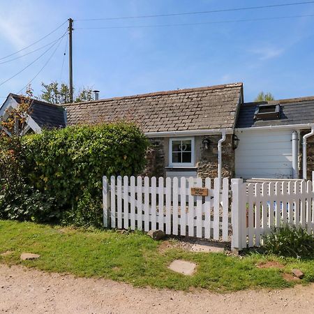 Toad Hall Cottage Totnes Buitenkant foto